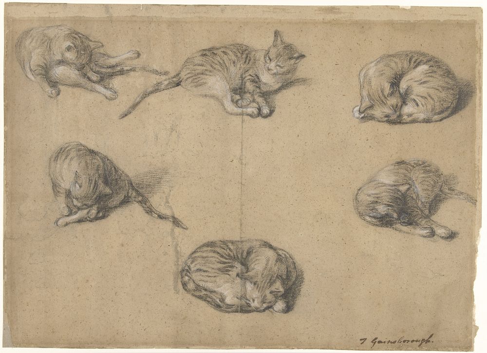 Six Studies of a Cat (c. 1763 - c. 1769) by Thomas Gainsborough