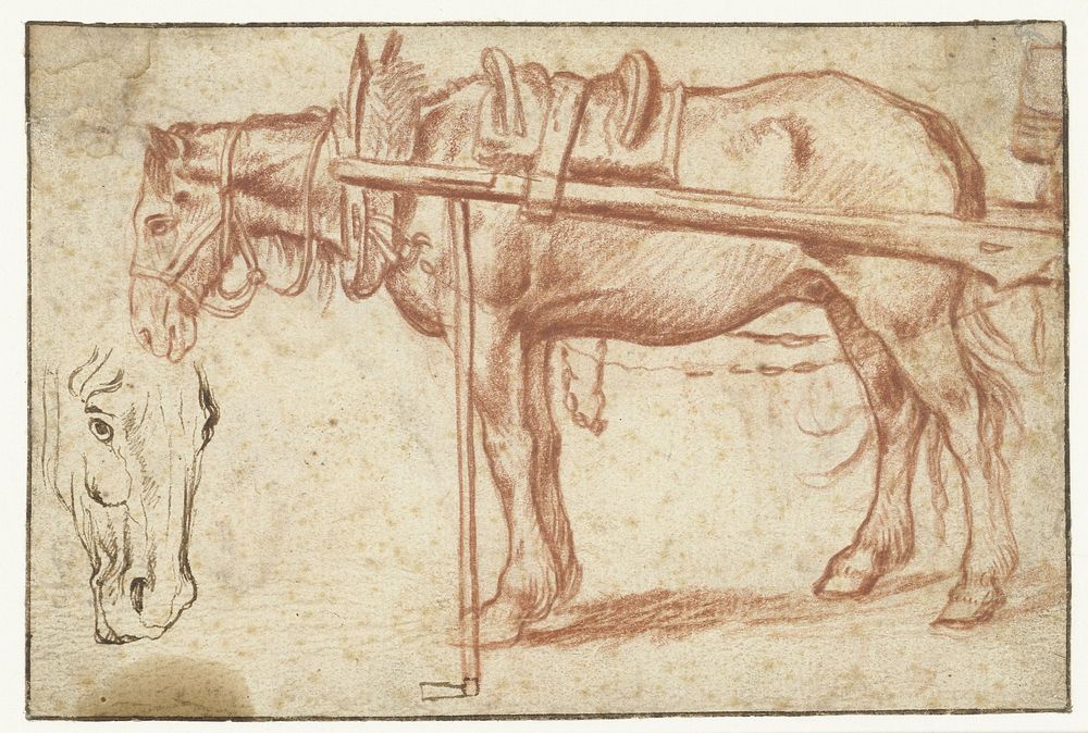 Paard voor een kar en een paardenhoofd (1578) by Jan Brueghel I