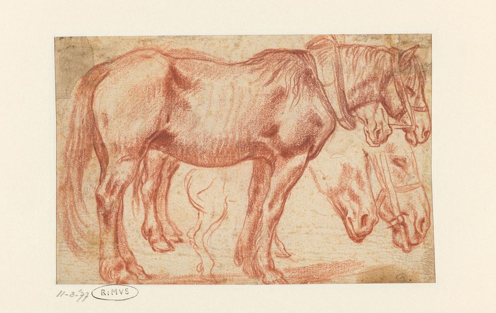 Twee staande paarden, paardenhoofden en achterbenen van een paard (1578) by Jan Brueghel I