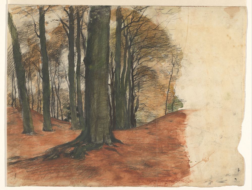 Bosgezicht met zwaar geboomte (1870 - 1923) by Willem Witsen