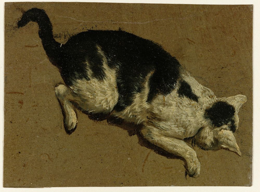 Kat vanaf een verhoging naar beneden kijkend (1646 - 1672) by Adriaen van de Velde