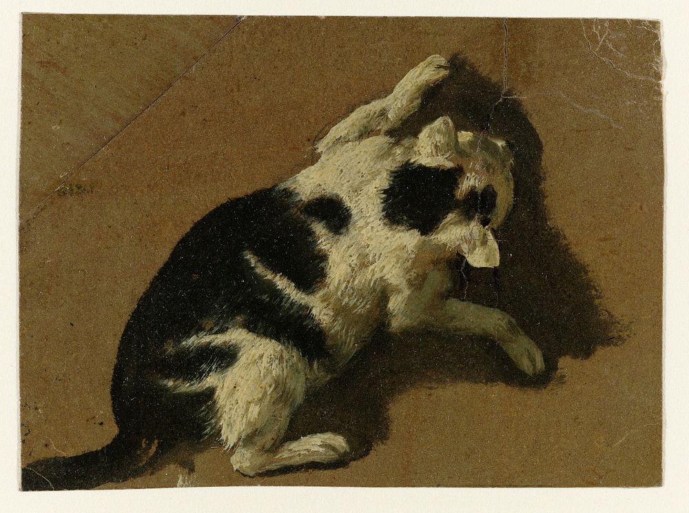 Kat spelend bij een muur (1646 - 1672) by Adriaen van de Velde