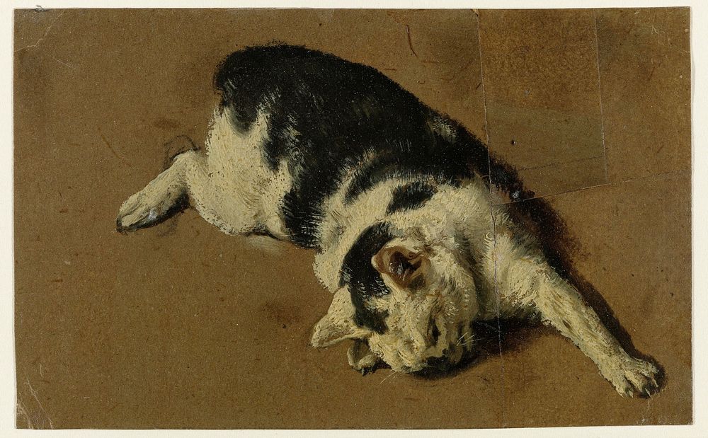 Kat liggend op de zij, de linkervoorpoot uitgestrekt (1646 - 1672) by Adriaen van de Velde