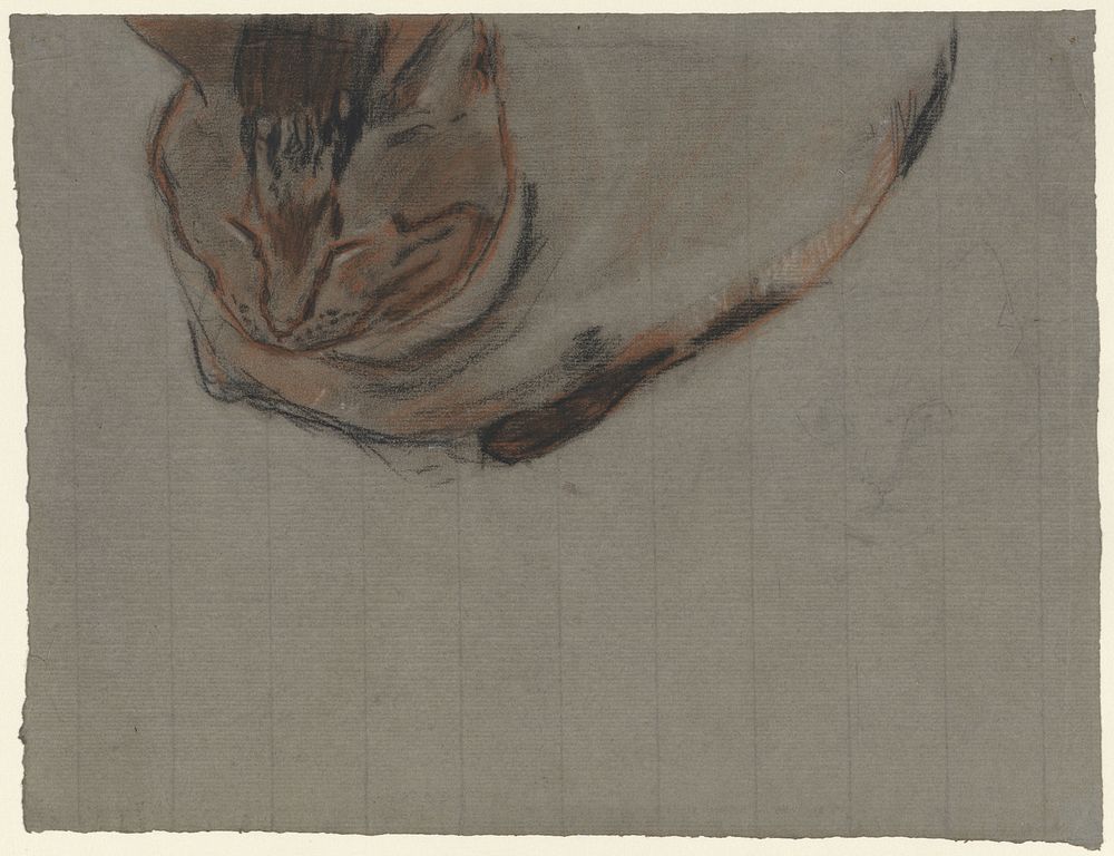 Liggende kat (1876 - 1951) by Theo Nieuwenhuis