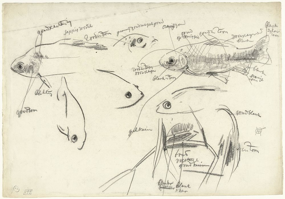 Detailstudies van vissen, met kleurnotities (1876 - 1924) by Gerrit Willem Dijsselhof