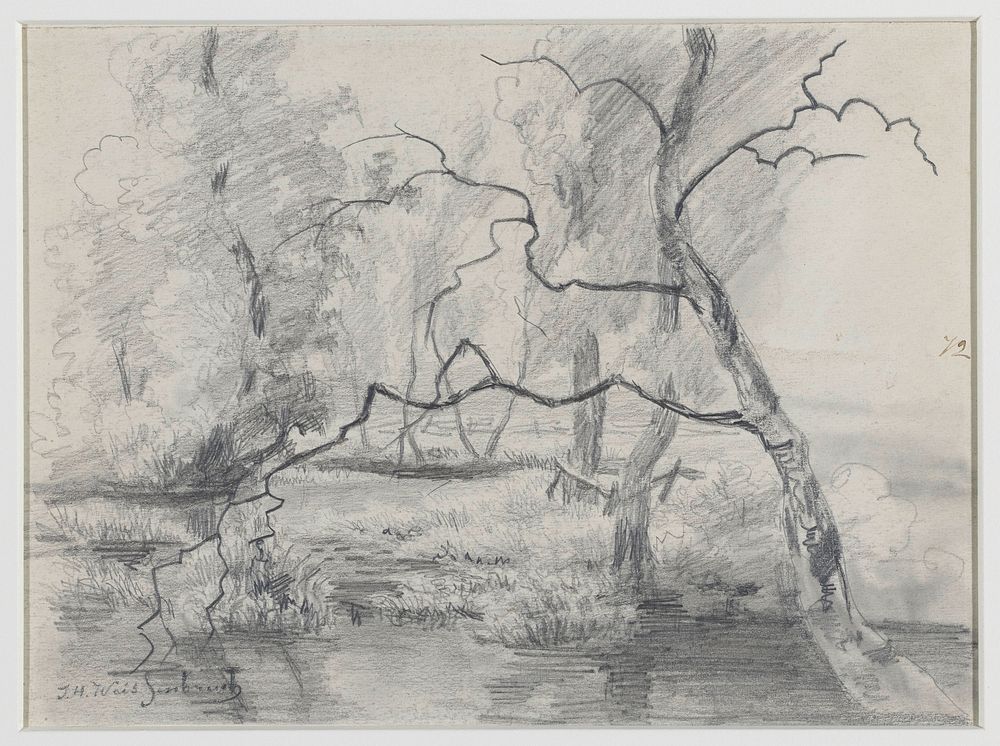 Bomen in een moeras (1834 - 1903) by Johan Hendrik Weissenbruch