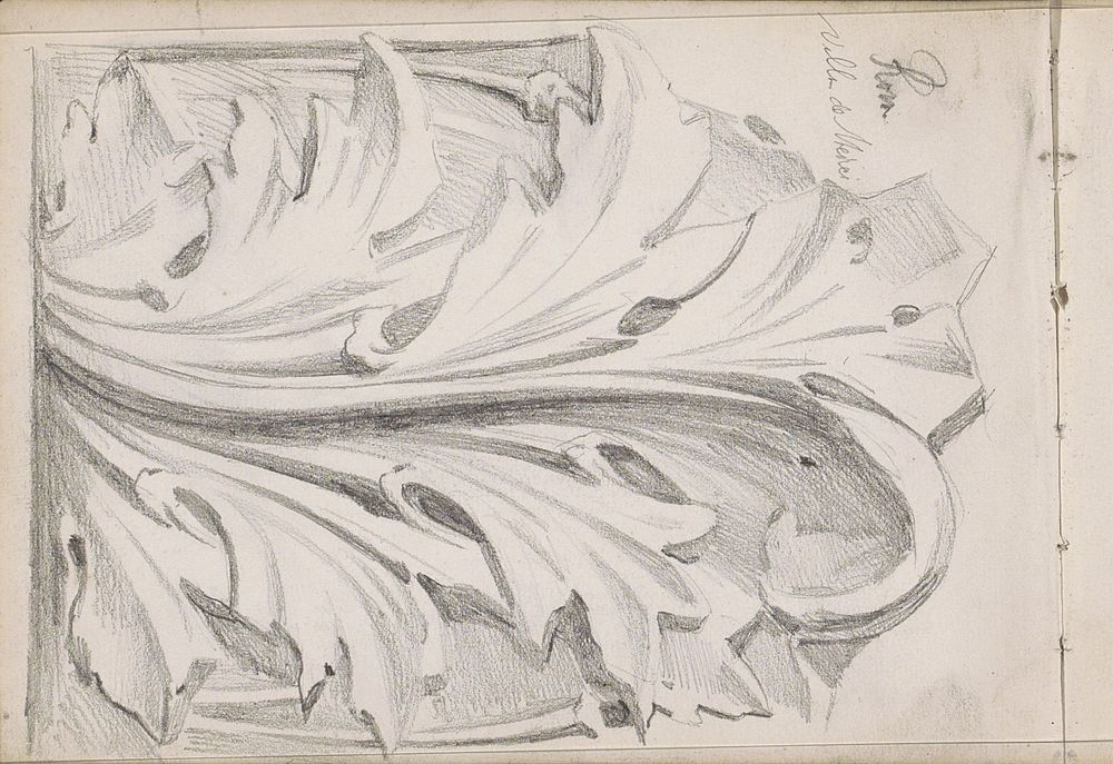 Acanthusornament (1877 - 1880) by Jac van Looij