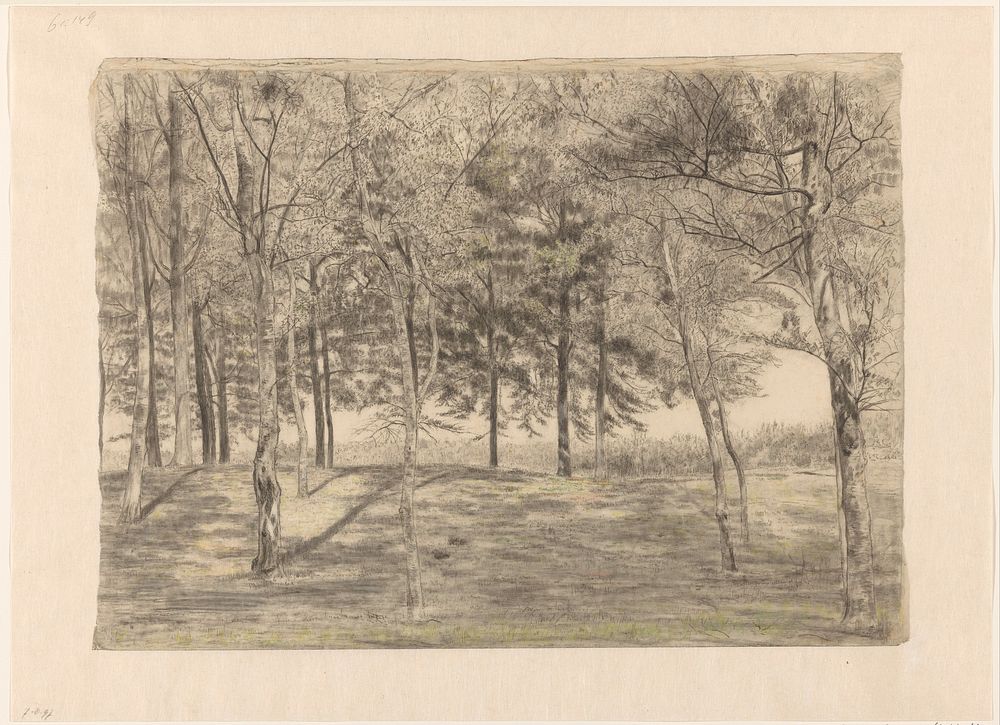 Bosgezicht bij Doorn (1801 - 1871) by Cornelis Gerardus t Hooft 1791 1871