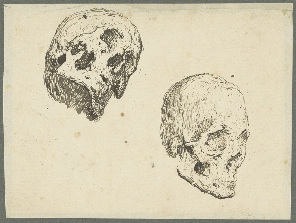 Twee studies van een schedel (1833 - 1891) by Théodule Augustin Ribot