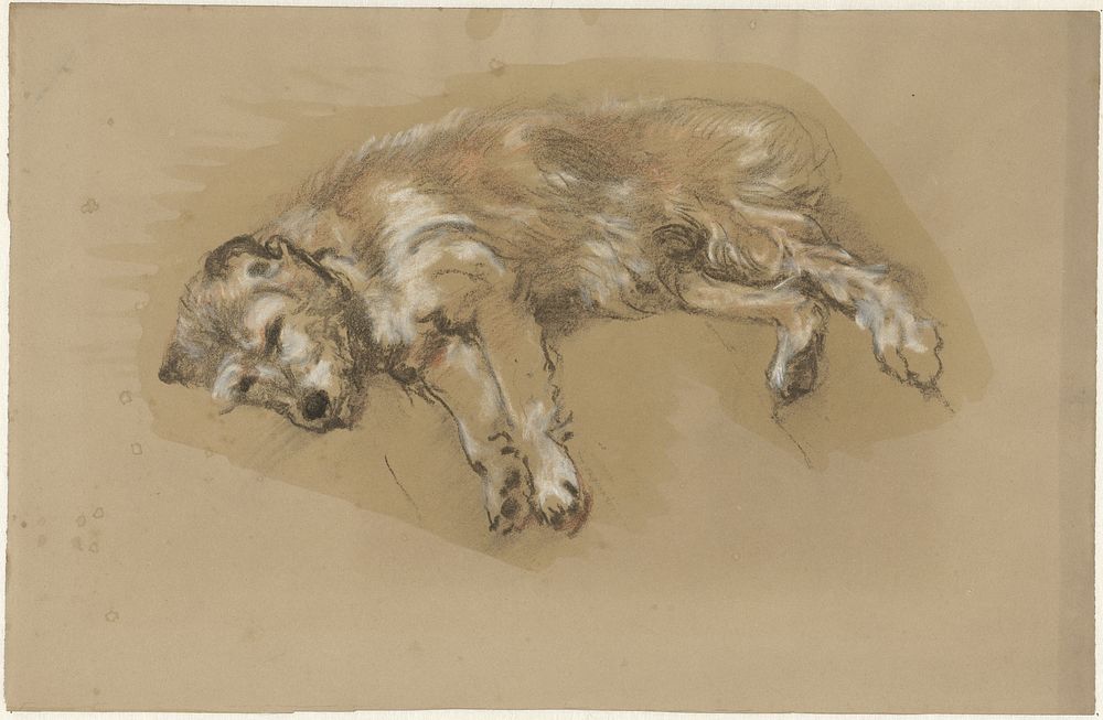 Liggende hond (1821 - 1891) by Guillaume Anne van der Brugghen