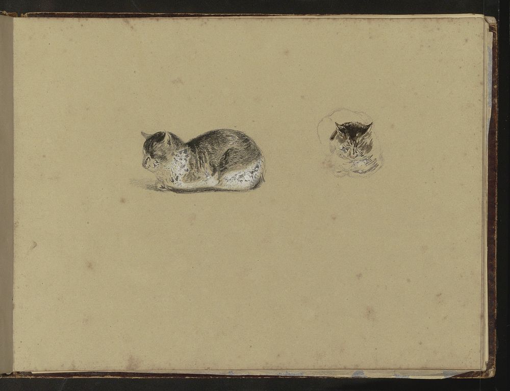 Liggende kat (1822 - 1880) by Reinier Craeyvanger