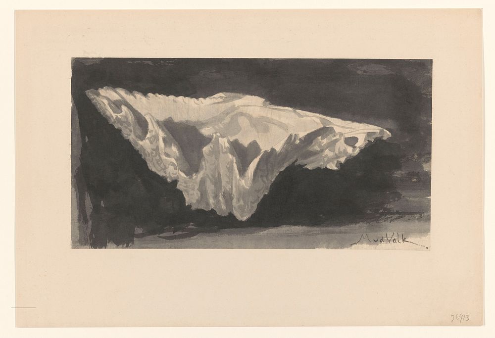 Schelp tegen zwart fond (1867 - 1935) by Maurits van der Valk