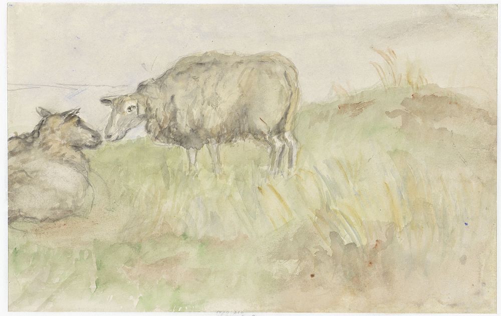 Twee schapen (1834 - 1911) by Jozef Israëls