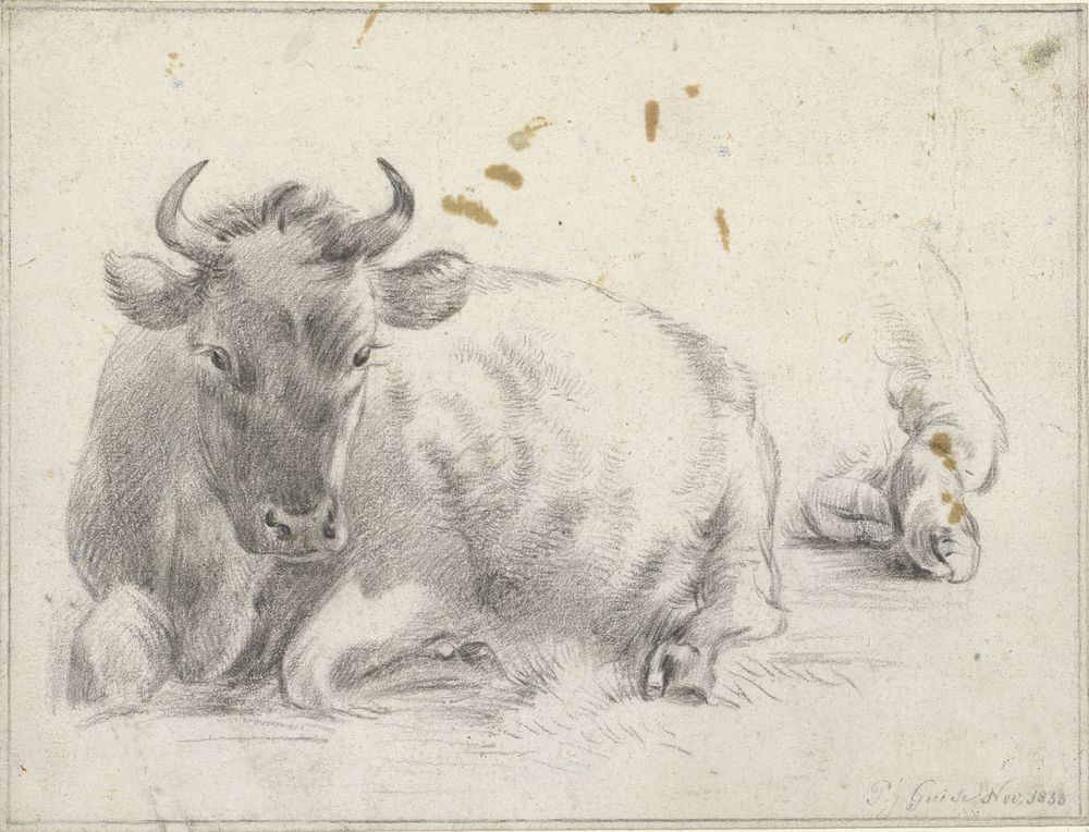 Liggend rund en detail van de achterpoten (1833) by Pieter Jan Guise