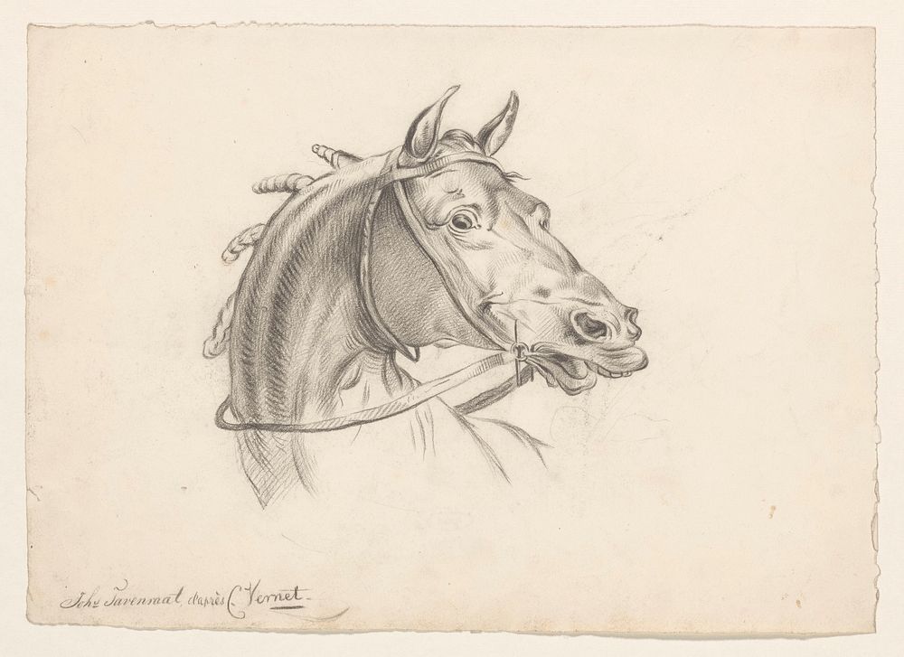Paardenkop, naar rechts (1819 - 1881) by Johannes Tavenraat and Carle Vernet