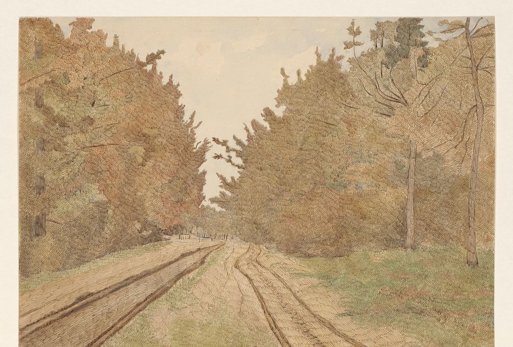 Landschap in Drenthe (1902) by Dirk Arnoldus Tavenraat