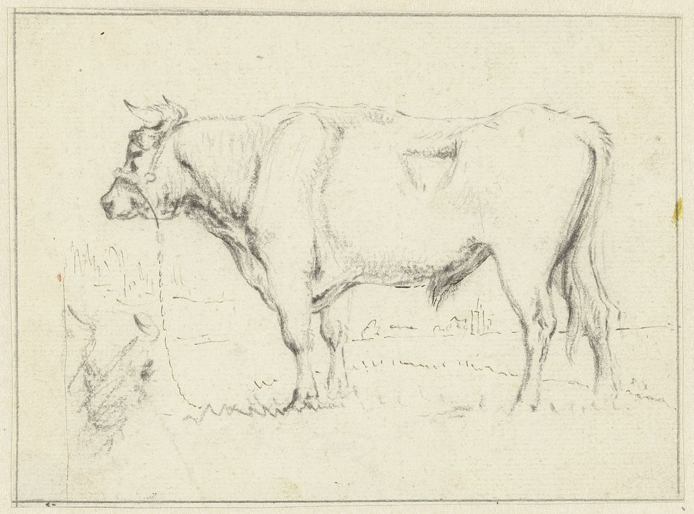 Staande stier, naar links (1786 - 1839) by Pieter Gerardus van Os