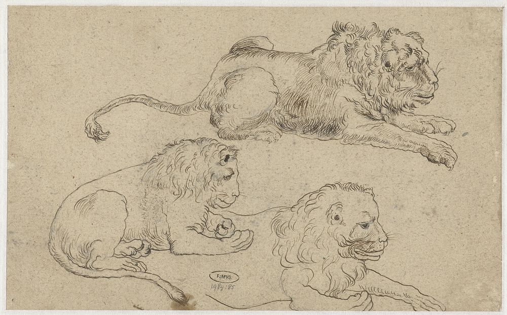 Study Sheet with Three Lions (after c. 1615 - before c. 1634) by anonymous, Jacques de Gheyn III and Jacques de Gheyn II