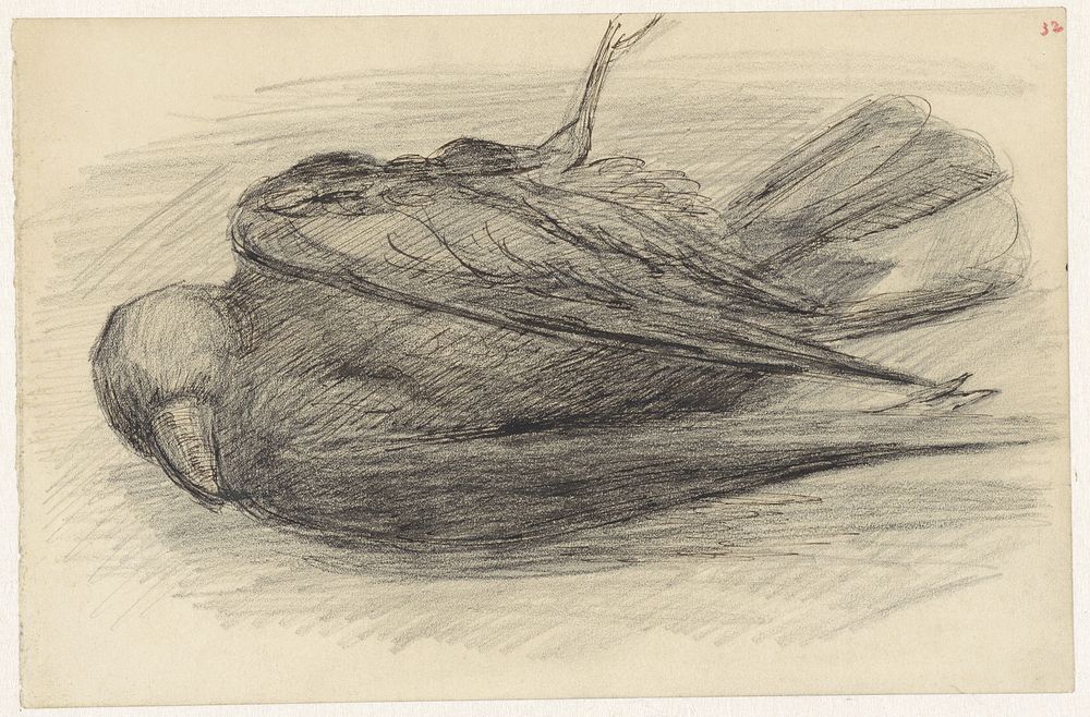 Dode vogel (1834 - 1911) by Jozef Israëls