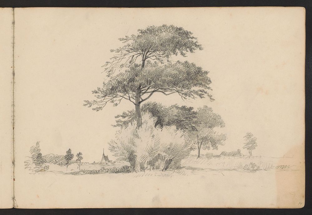 Vlak landschap met bomen (1842 - 1868) by Johannes Tavenraat
