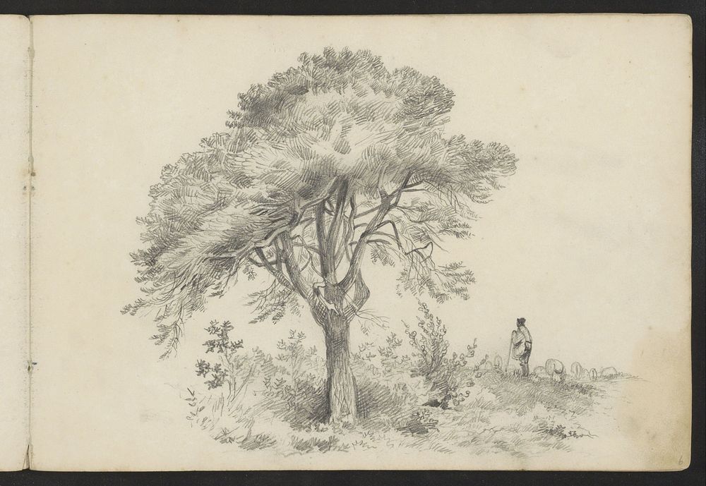 Schapenherder bij een boom (1842 - 1868) by Johannes Tavenraat