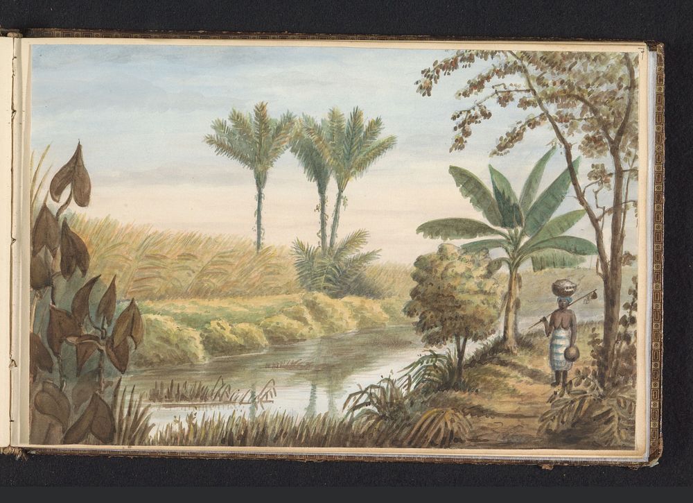 Gezicht op veld met suikerriet plantage Visserszorg (1859) by Jacob Marius Adriaan Martini van Geffen