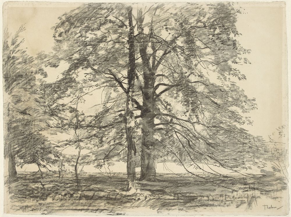 Hoge bomen in een vlak landschap (1870 - 1931) by Willem Bastiaan Tholen