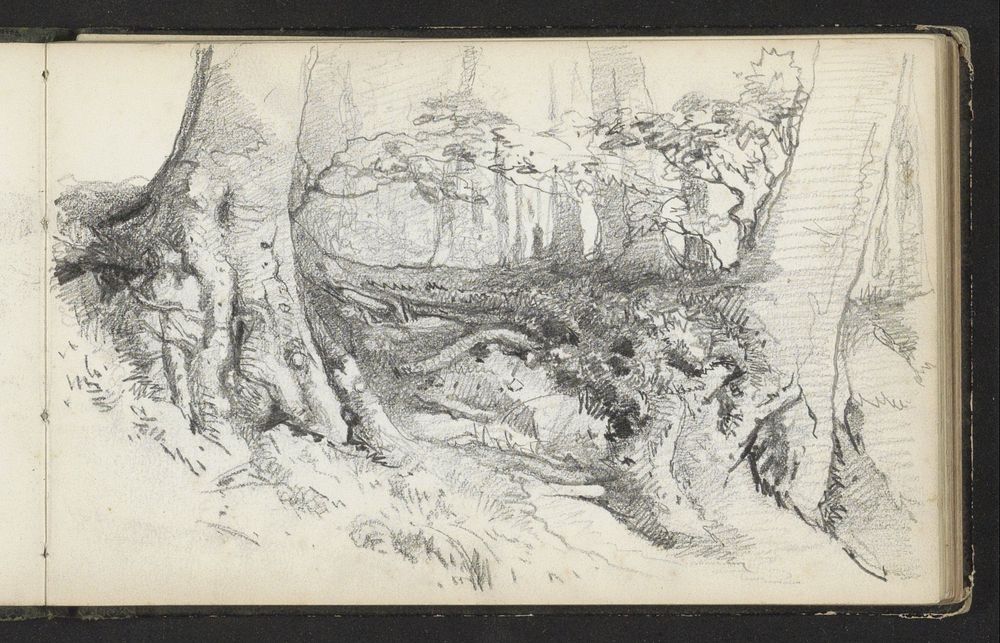 Bos met boomwortels op de voorgrond (1856 - c. 1870) by Maria Vos