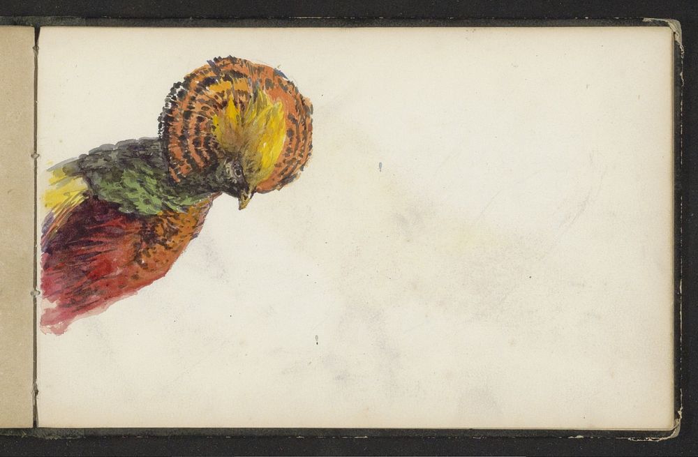 Kop van een vogel met een kuif (1856 - c. 1870) by Maria Vos