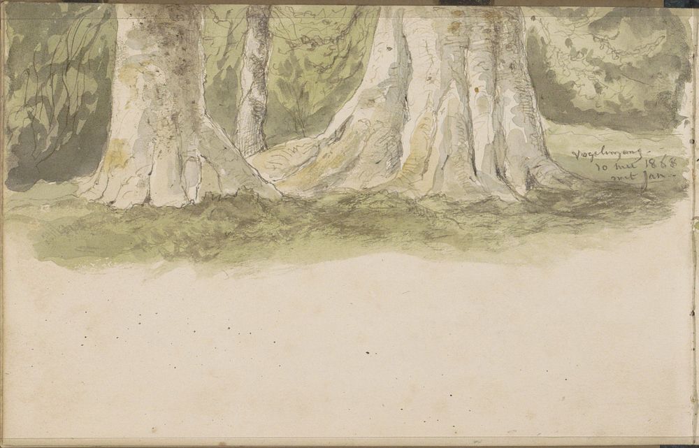 Boomstammen (1868) by Johannes Tavenraat