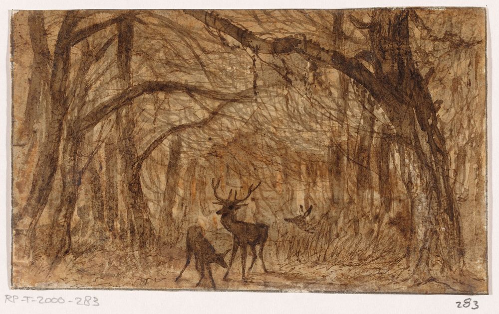 Boslandschap met herten (1840 - 1880) by Johannes Tavenraat