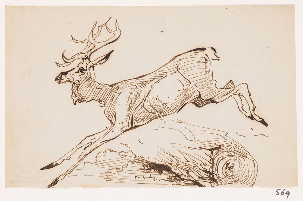 Hert springt over boomstam (1840 - 1880) by Johannes Tavenraat