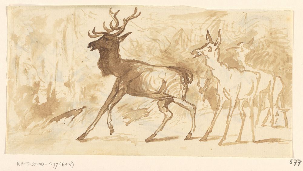 Schetsblad met herten en koppen (1840 - 1880) by Johannes Tavenraat