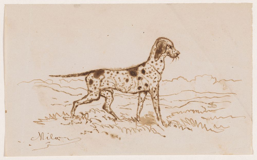 Jachthond (1840 - 1880) by Johannes Tavenraat