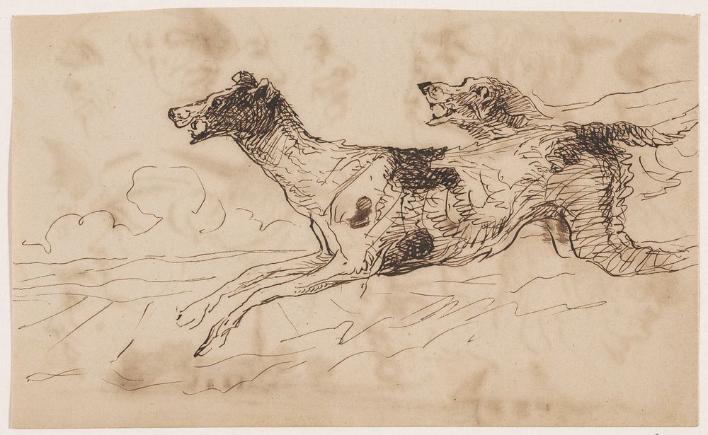 Twee jachthonden in het veld (1840 - 1880) by Johannes Tavenraat