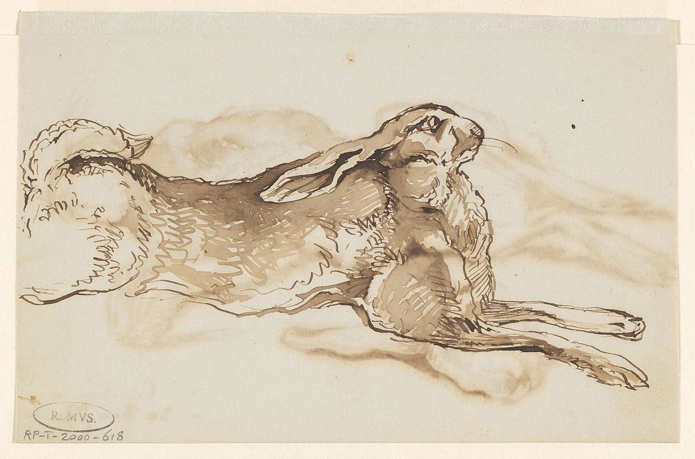 Haas (1872) by Johannes Tavenraat