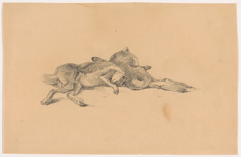 Paar geschoten hazen (1869) by Johannes Tavenraat