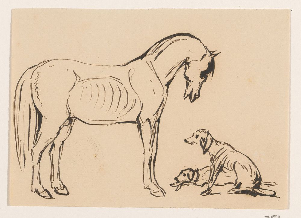 Paard en twee honden (1840 - 1880) by Johannes Tavenraat