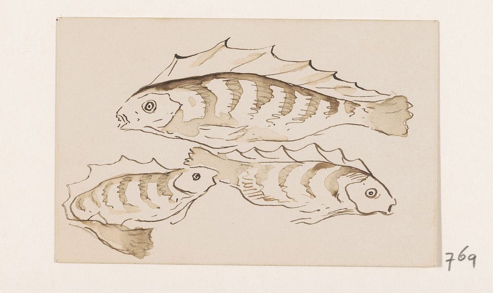 Drie baarzen (1840 - 1880) by Johannes Tavenraat