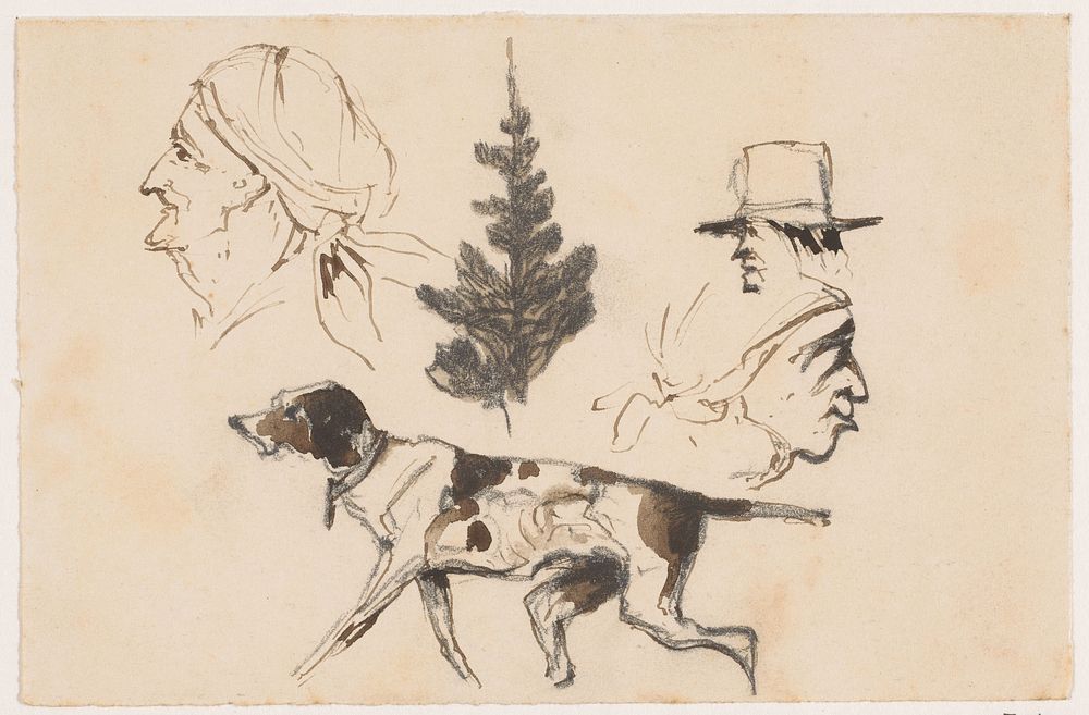 Schetsblad met koppen, boom en hond (1840 - 1880) by Johannes Tavenraat
