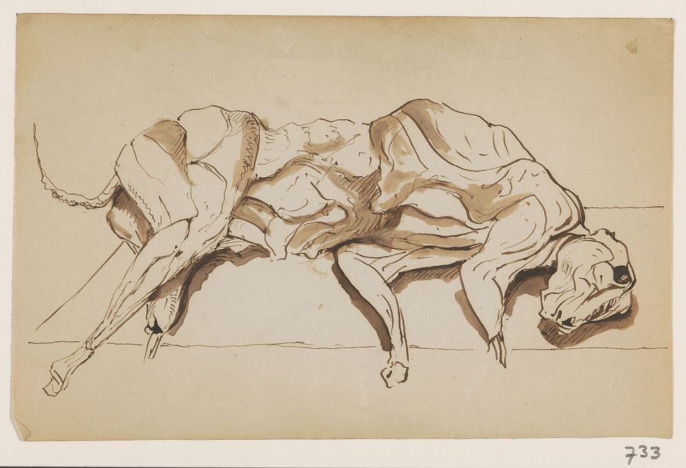 Karkas van een dier (1840 - 1880) by Johannes Tavenraat