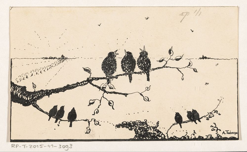 Negen vogels op boomtakken (c. 1925 - c. 1935) by A Tinbergen