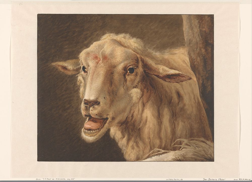 Schaapskop (1808) by Jean Zacherie Mazel and Andries Vermeulen