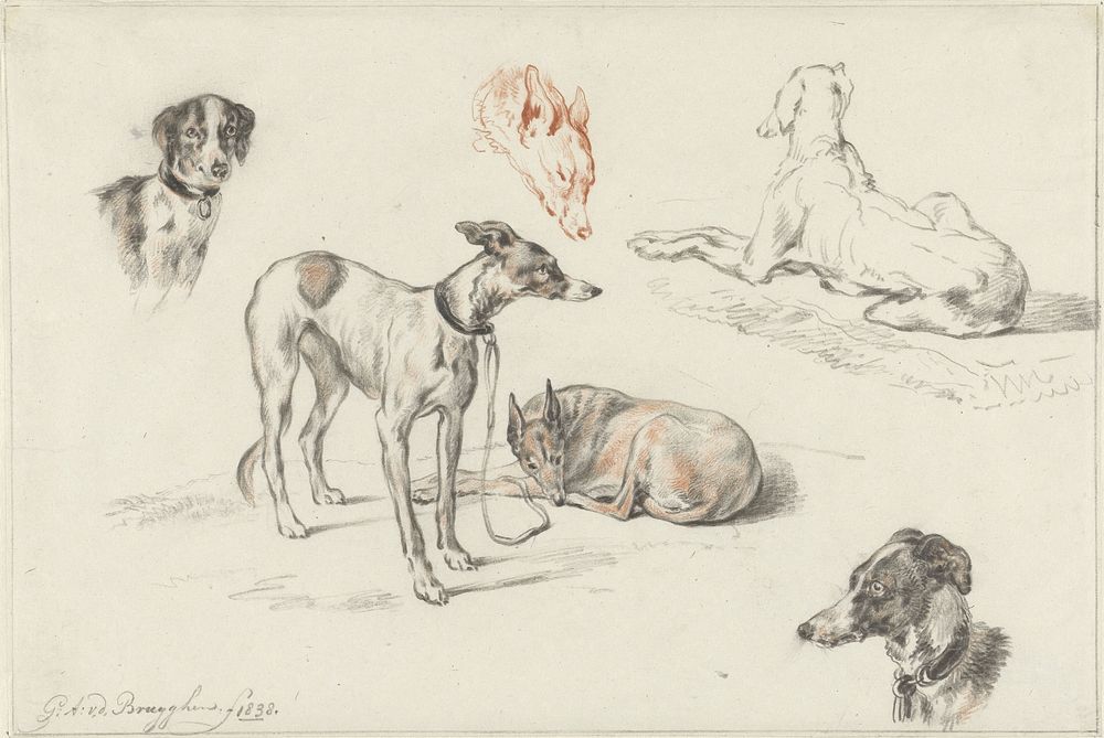 Studies van honden (1838) by Guillaume Anne van der Brugghen