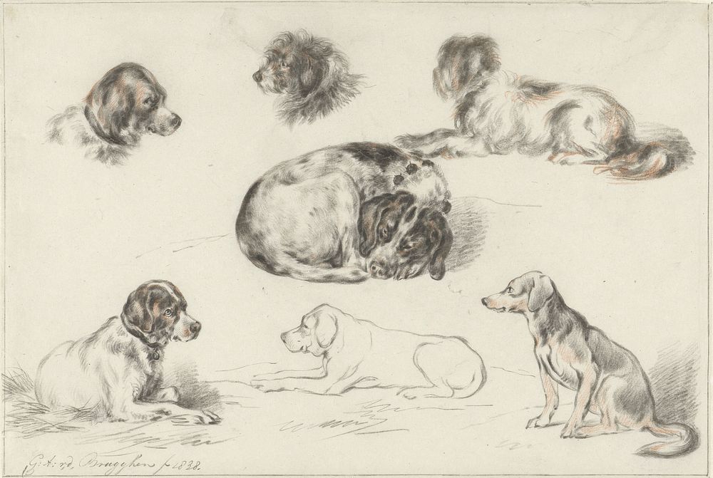 Studies of Dogs (1838) by Guillaume Anne van der Brugghen