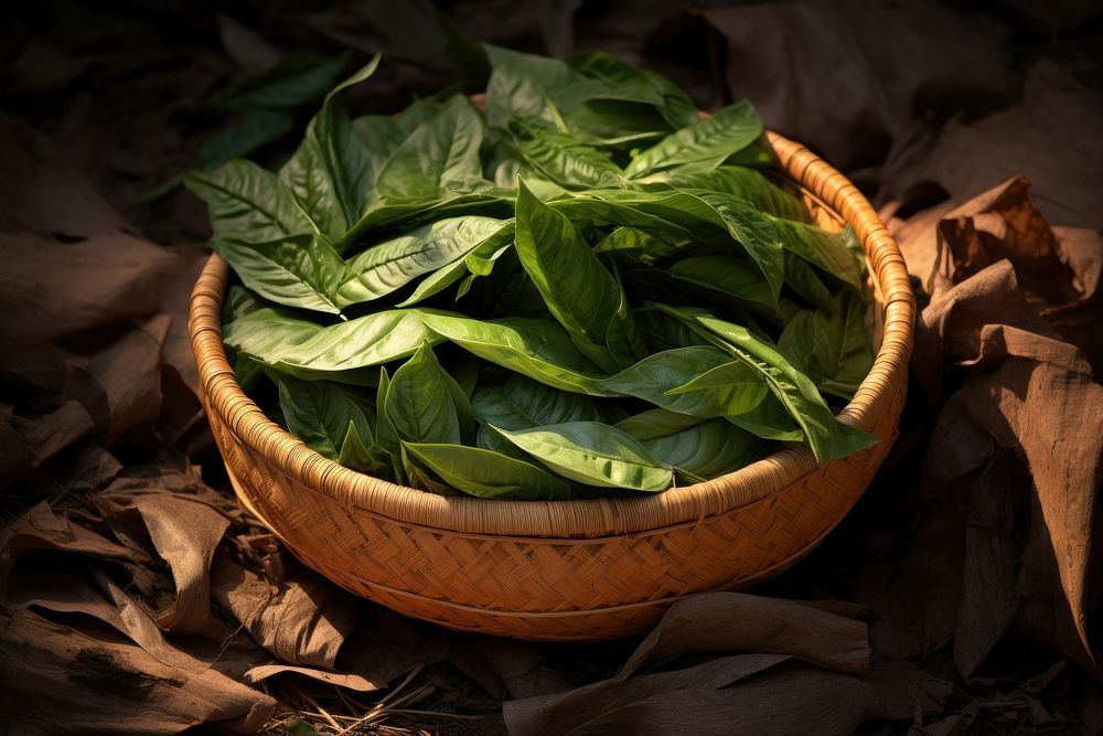 Tea leaves vegetable spinach basket. AI generated Image by rawpixel.