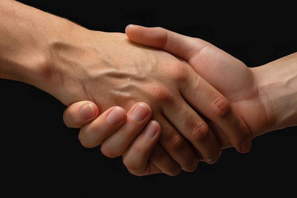 2 hands holding hands handshake agreement touching.