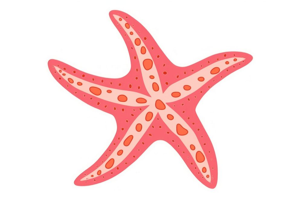 Star fish starfish white background invertebrate. AI generated Image by rawpixel.