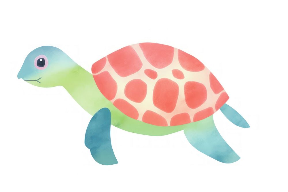 Turtle reptile animal white background. AI generated Image by rawpixel.