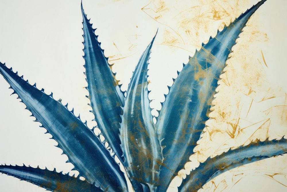 Aloe vera backgrounds plant art.